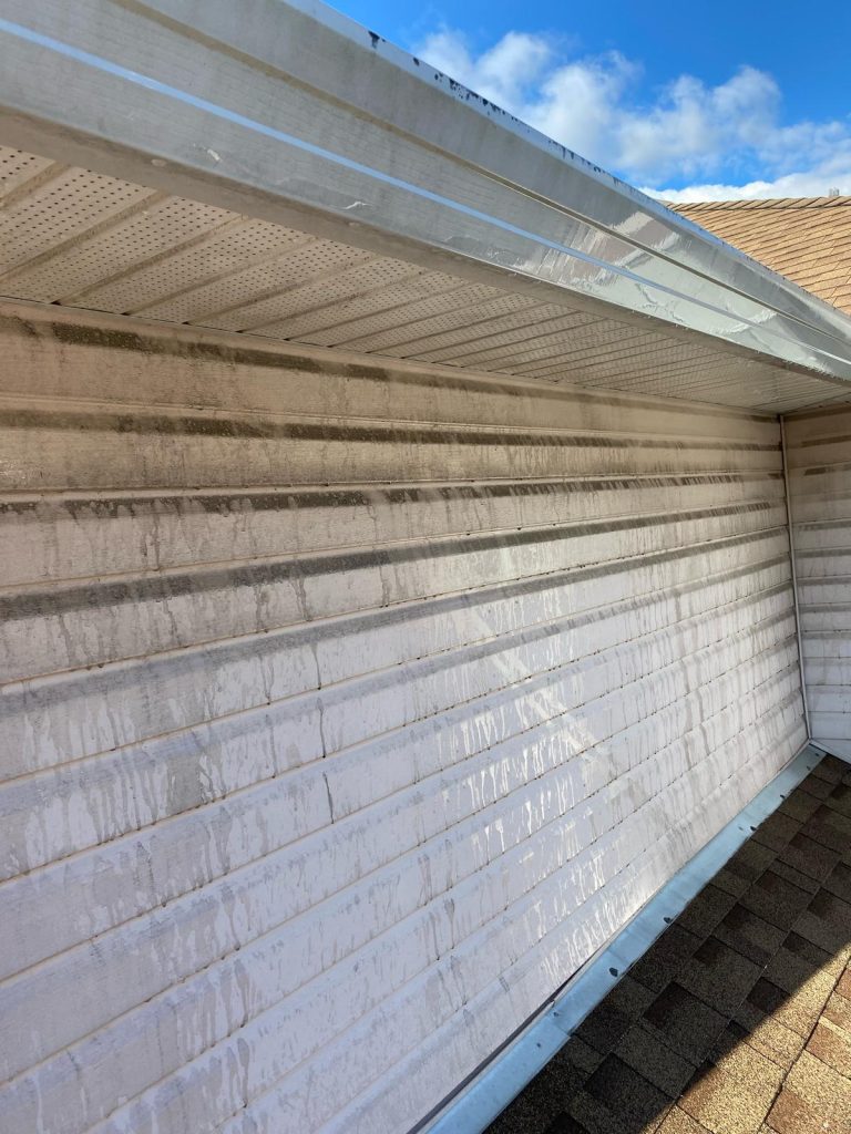 1siding cleaning before